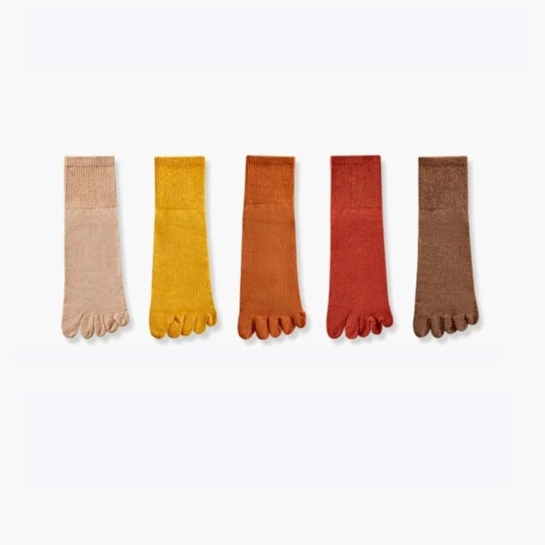 Crystal Traditional Socks – 5-Pack Cotton Toe Socks with Antibacterial Effect-4-State of Style