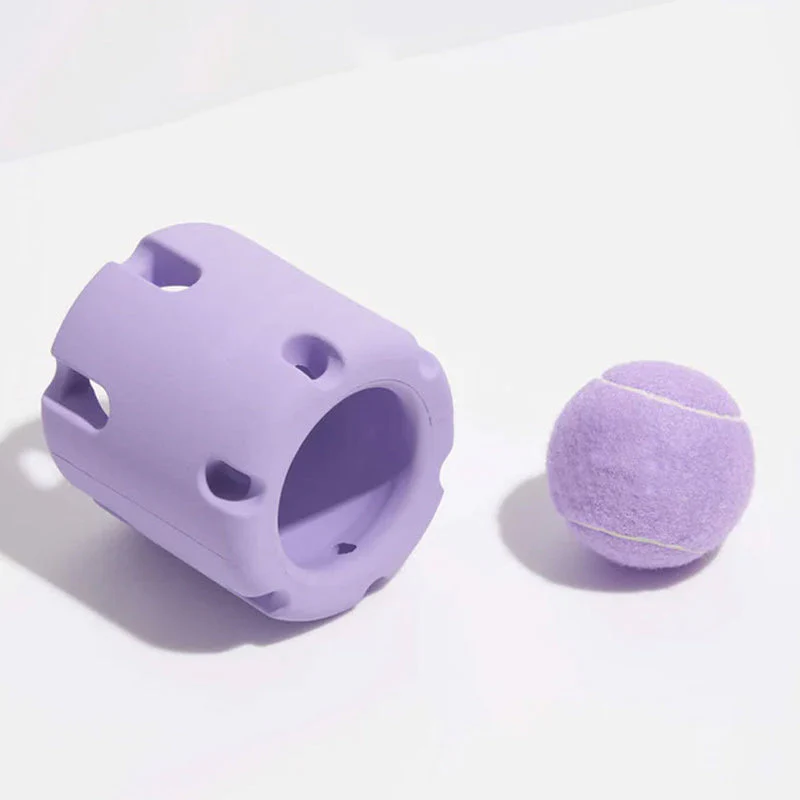 Dental Care Toys for Dogs - BounceChew-Purple-State of Style