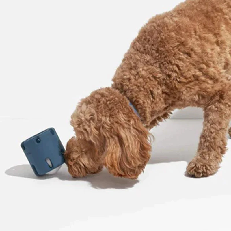 Dental Care Toys for Dogs - BounceChew-Purple-State of Style