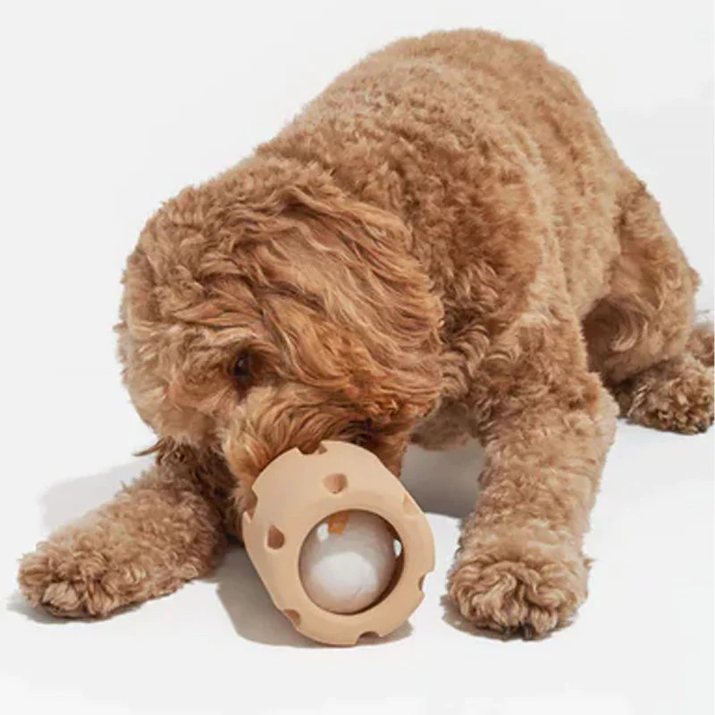 Dental Care Toys for Dogs - BounceChew-Purple-State of Style