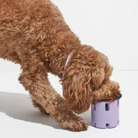 Dental Care Toys for Dogs - BounceChew-Purple-State of Style