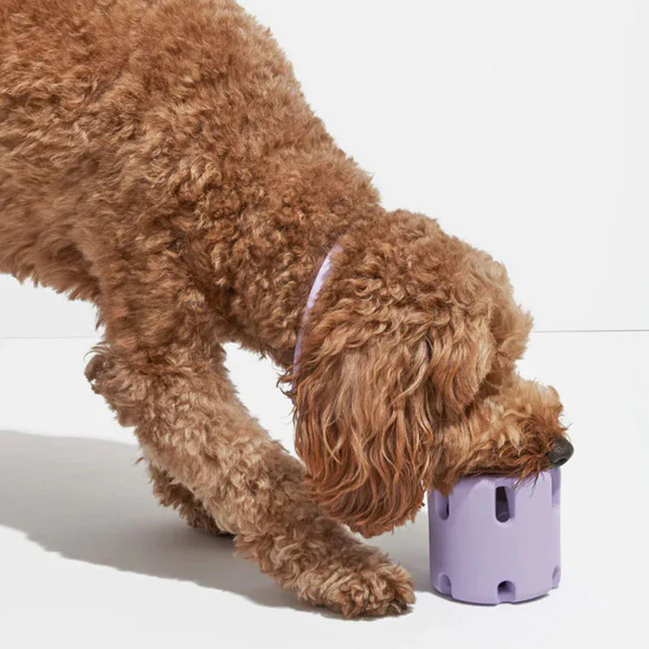 Dental Care Toys for Dogs - BounceChew-Purple-State of Style
