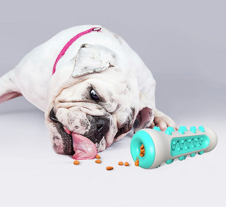 Dental Cleaning Chew Toy for Dogs – Chewly-Blue-State of Style