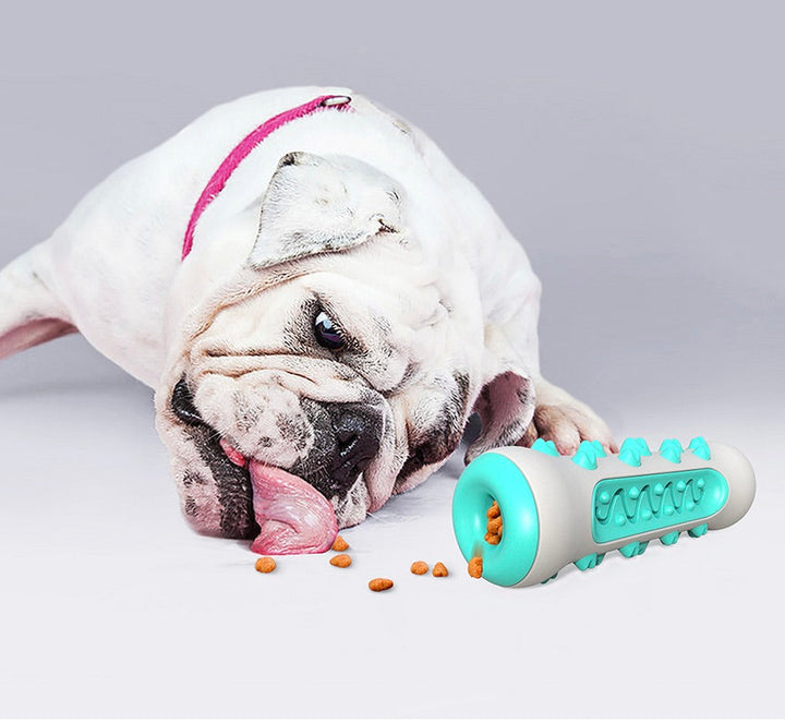 Dental Cleaning Chew Toy for Dogs – Chewly-Blue-State of Style