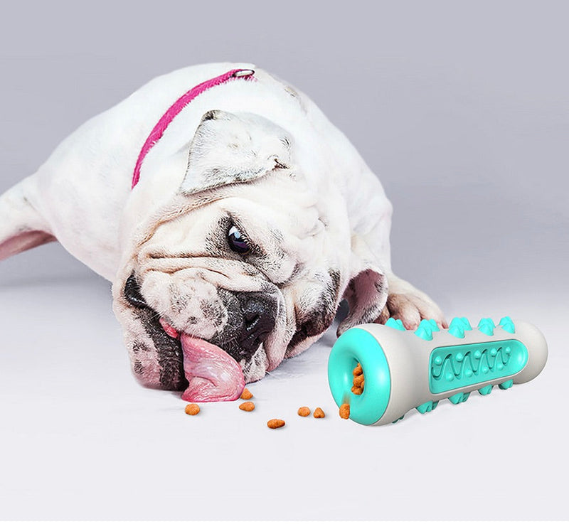 Dental Cleaning Chew Toy for Dogs – Chewly-Blue-State of Style