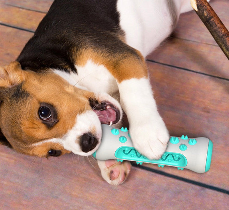Dental Cleaning Chew Toy for Dogs – Chewly-Blue-State of Style
