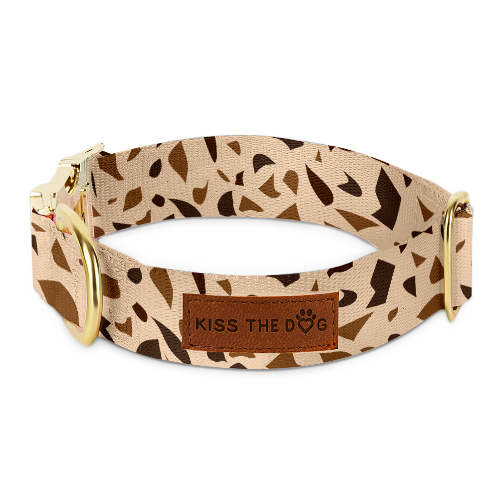 Dog Collar with Golden Accents – GoldenTerra-XS / 15mm-State of Style