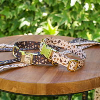 Dog Collar with Golden Accents – GoldenTerra-XS / 15mm-State of Style