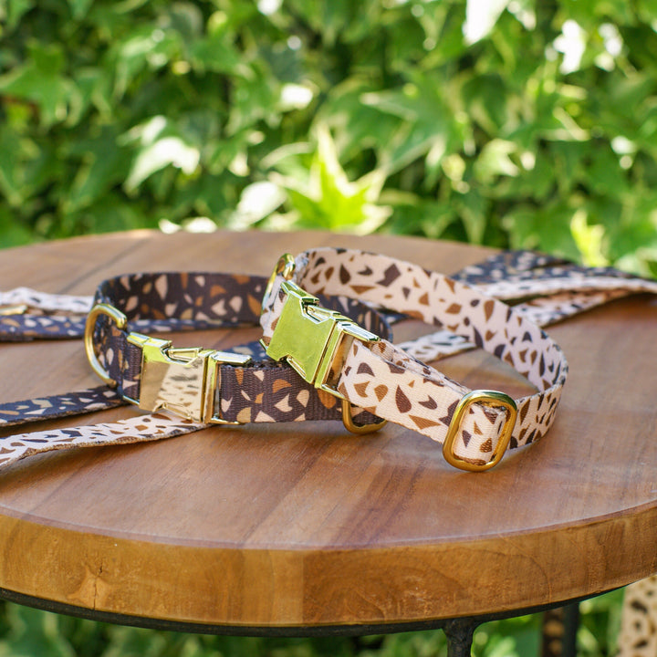 Dog Collar with Golden Accents – GoldenTerra-XS / 15mm-State of Style