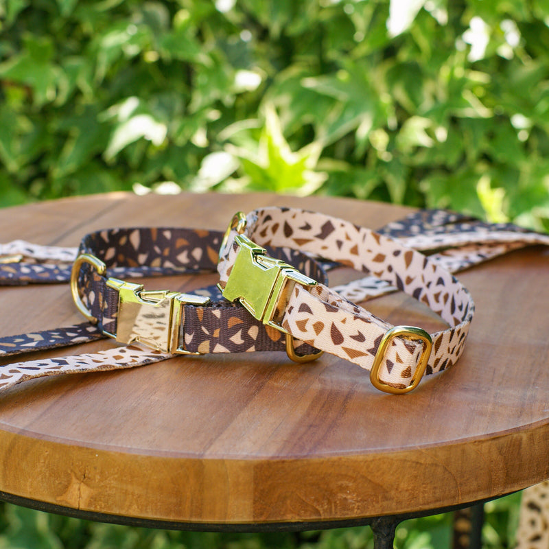 Dog Collar with Golden Accents – GoldenTerra-XS / 15mm-State of Style