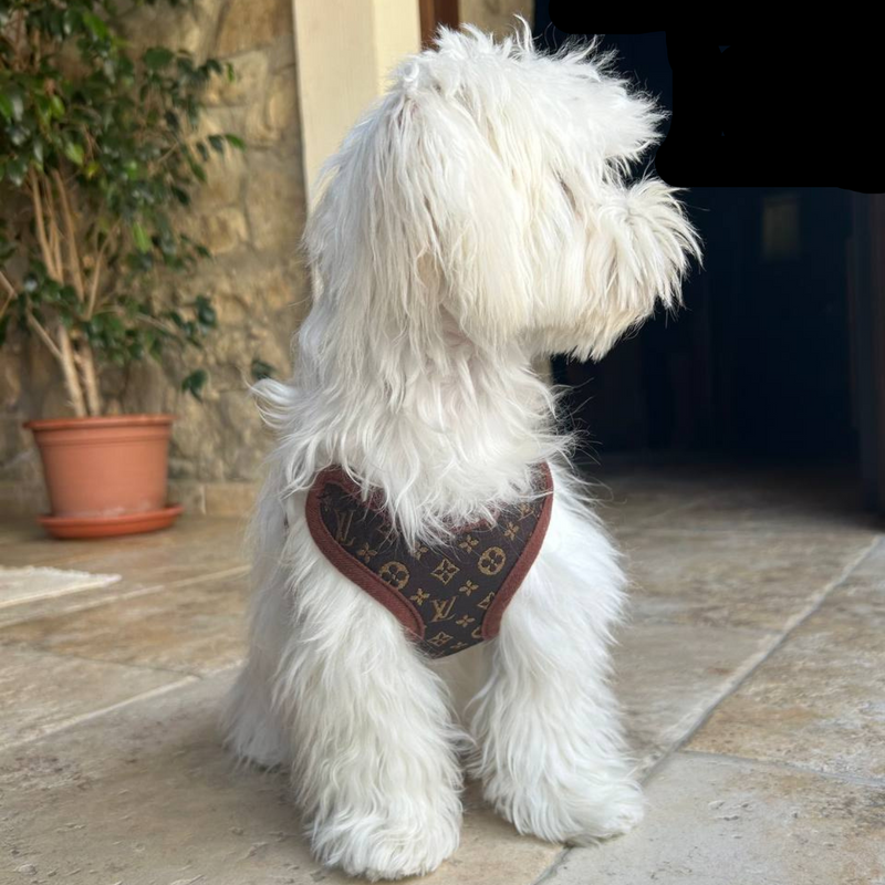 Dog Harness and Leash Set – PawLuxe-XS (1-1.5 kg)-State of Style