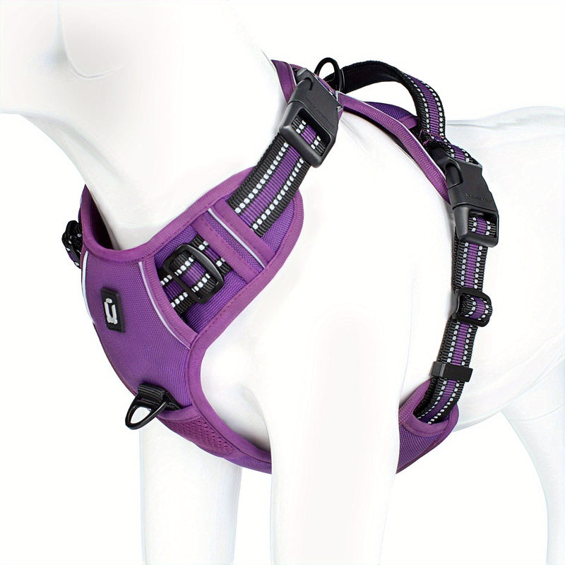 Dog harness - SafeWalk-Purple-S-State of Style