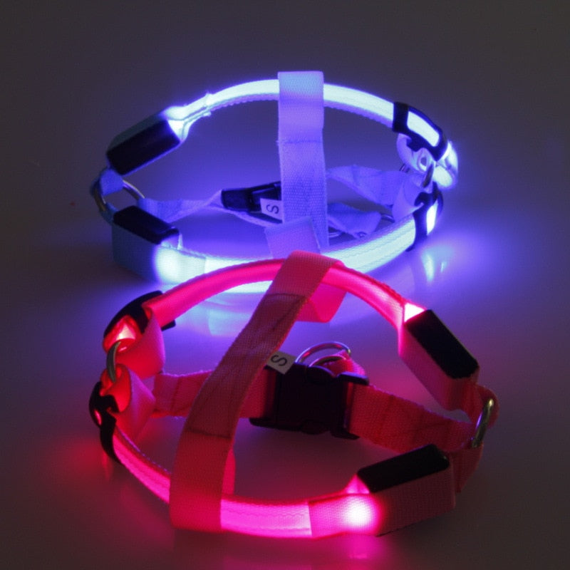Dog harness with LED - Glow&Go-Blue-XS-State of Style