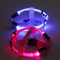 Dog harness with LED - Glow&Go-Blue-XS-State of Style