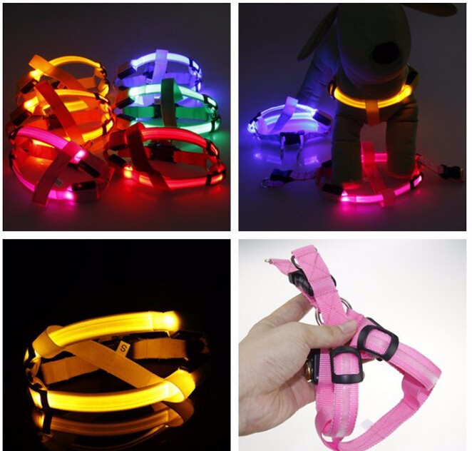 Dog harness with LED - Glow&Go-Blue-XS-State of Style