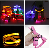 Dog harness with LED - Glow&Go-Blue-XS-State of Style