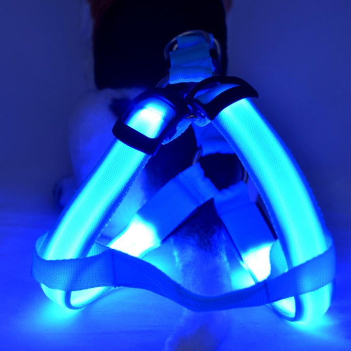 Dog harness with LED - Glow&Go-Blue-XS-State of Style