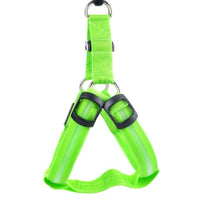 Dog harness with LED - Glow&Go-Green-XS-State of Style