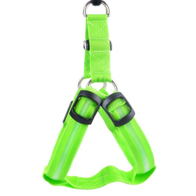 Dog harness with LED - Glow&Go-Green-XS-State of Style