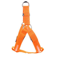 Dog harness with LED - Glow&Go-Orange-XS-State of Style