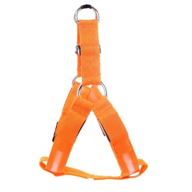 Dog harness with LED - Glow&Go-Orange-XS-State of Style