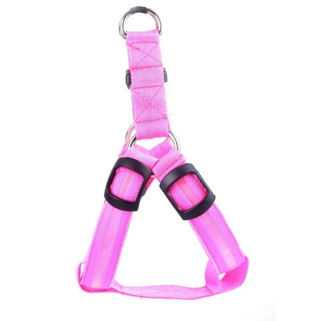 Dog harness with LED - Glow&Go-Pink-XS-State of Style