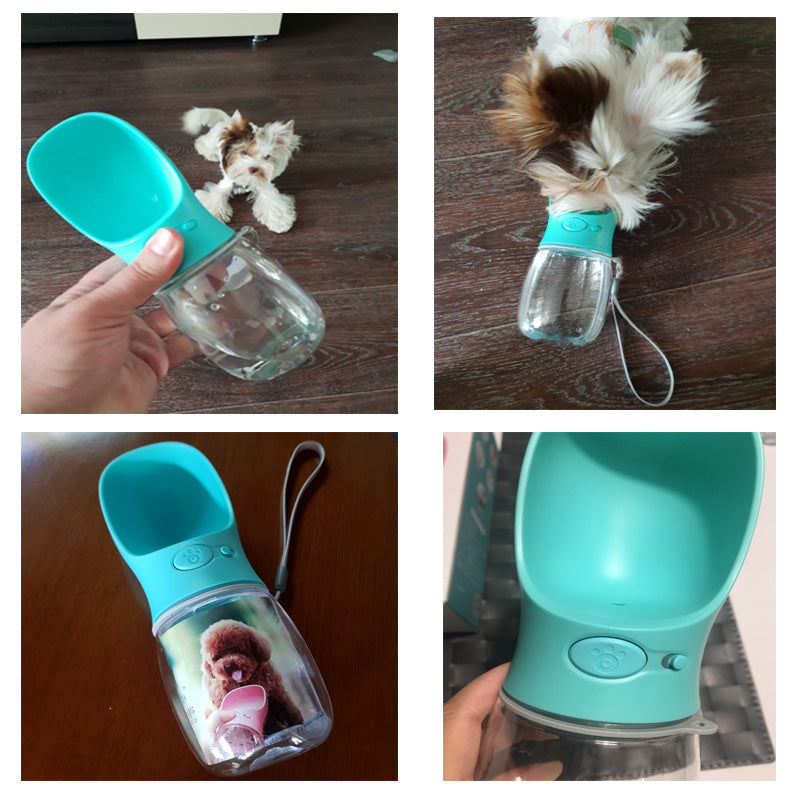 Dog Water Bottle for On the Go - HydroDog-Pink-350 ml-State of Style
