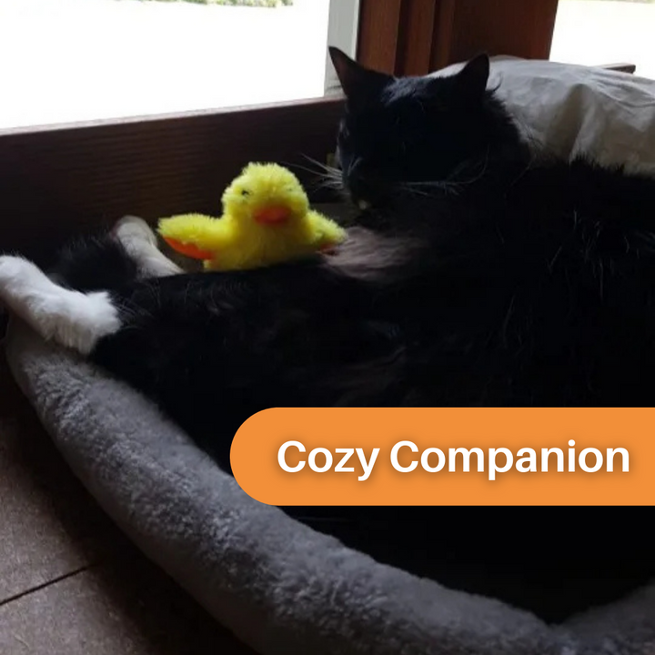DuckDash™ - Flapping Duck Toy for Cats (Buy 1, Get 1 FREE)-State of Style