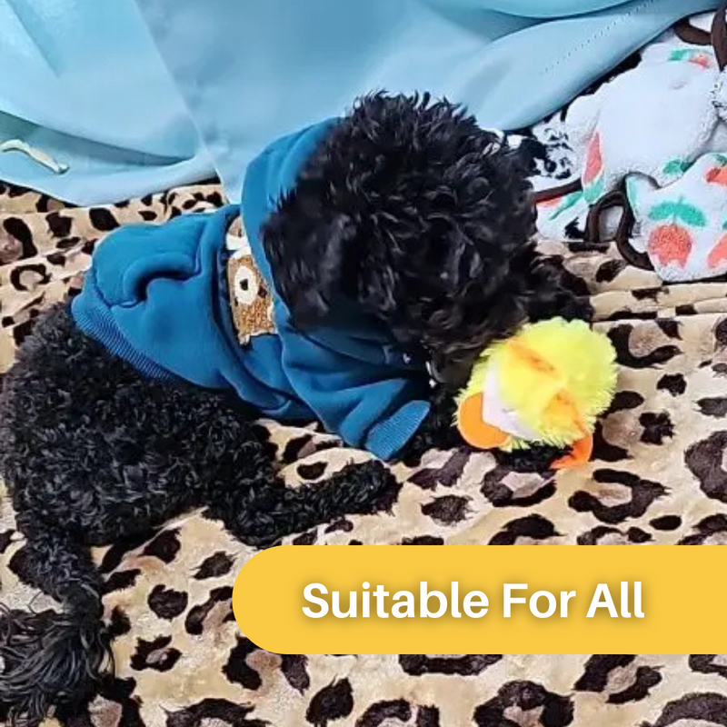 DuckDash™ - Flapping Duck Toy for Cats (Buy 1, Get 1 FREE)-State of Style