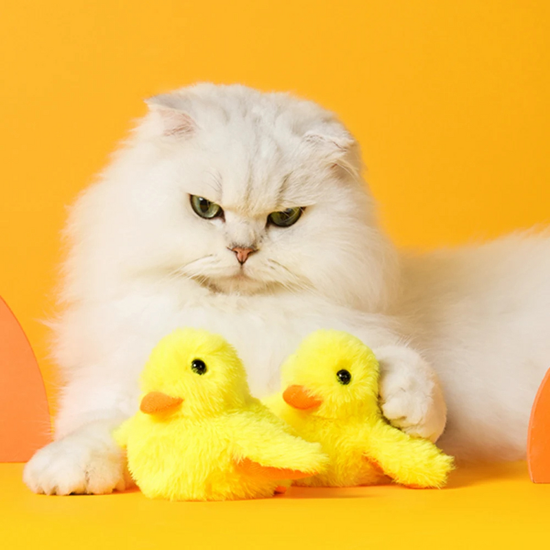DuckDash™ - Flapping Duck Toy for Cats (Buy 1, Get 1 FREE)-State of Style