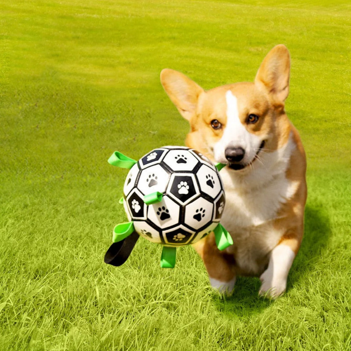 Durable Dog Football with Handles – TugBounce-Small (15cm)-State of Style