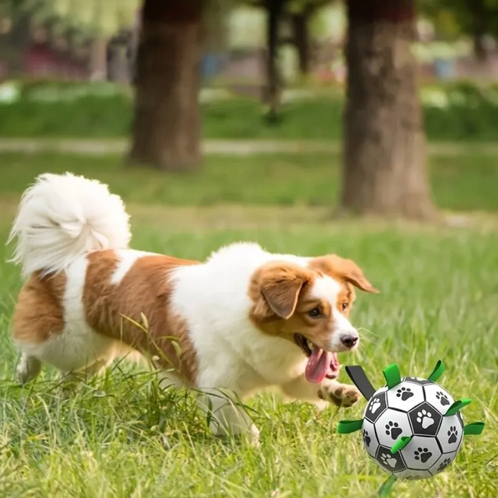 Durable Dog Football with Handles – TugBounce-Small (15cm)-State of Style