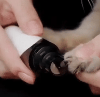 Electric Nail File for Dogs – PawTrim-State of Style