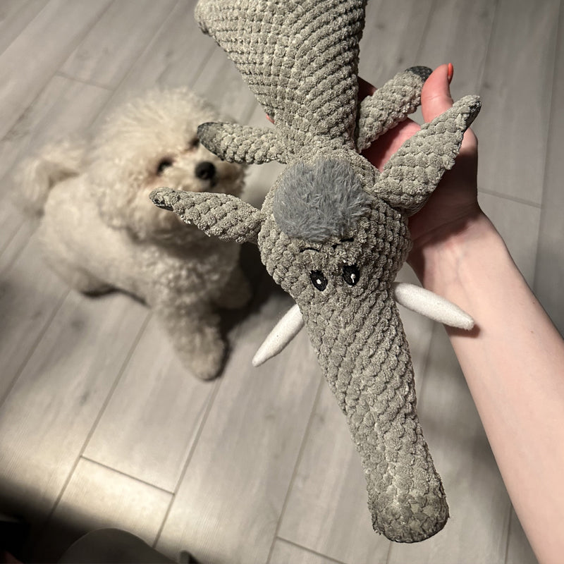 Extra Strong Dog Toy - Maximus-Wolf-State of Style