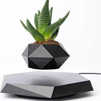 Floating Plant Holder with Magnetic Levitation - Liva-Black Onyx-State of Style