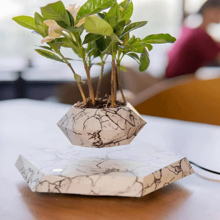 Floating Plant Holder with Magnetic Levitation - Liva-Marble-State of Style