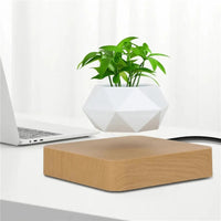 Floating Plant Holder with Magnetic Levitation - Liva-Rectangular Wooden Base-State of Style