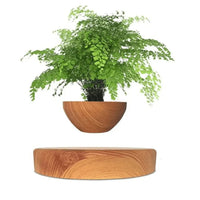 Floating Plant Holder with Magnetic Levitation - Liva-Round Wood-State of Style