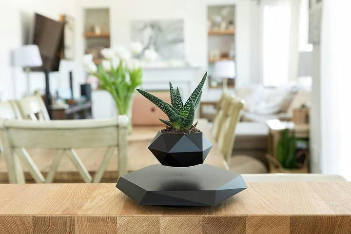 Floating Plant Holder with Magnetic Levitation - Liva-Walnut Base-State of Style
