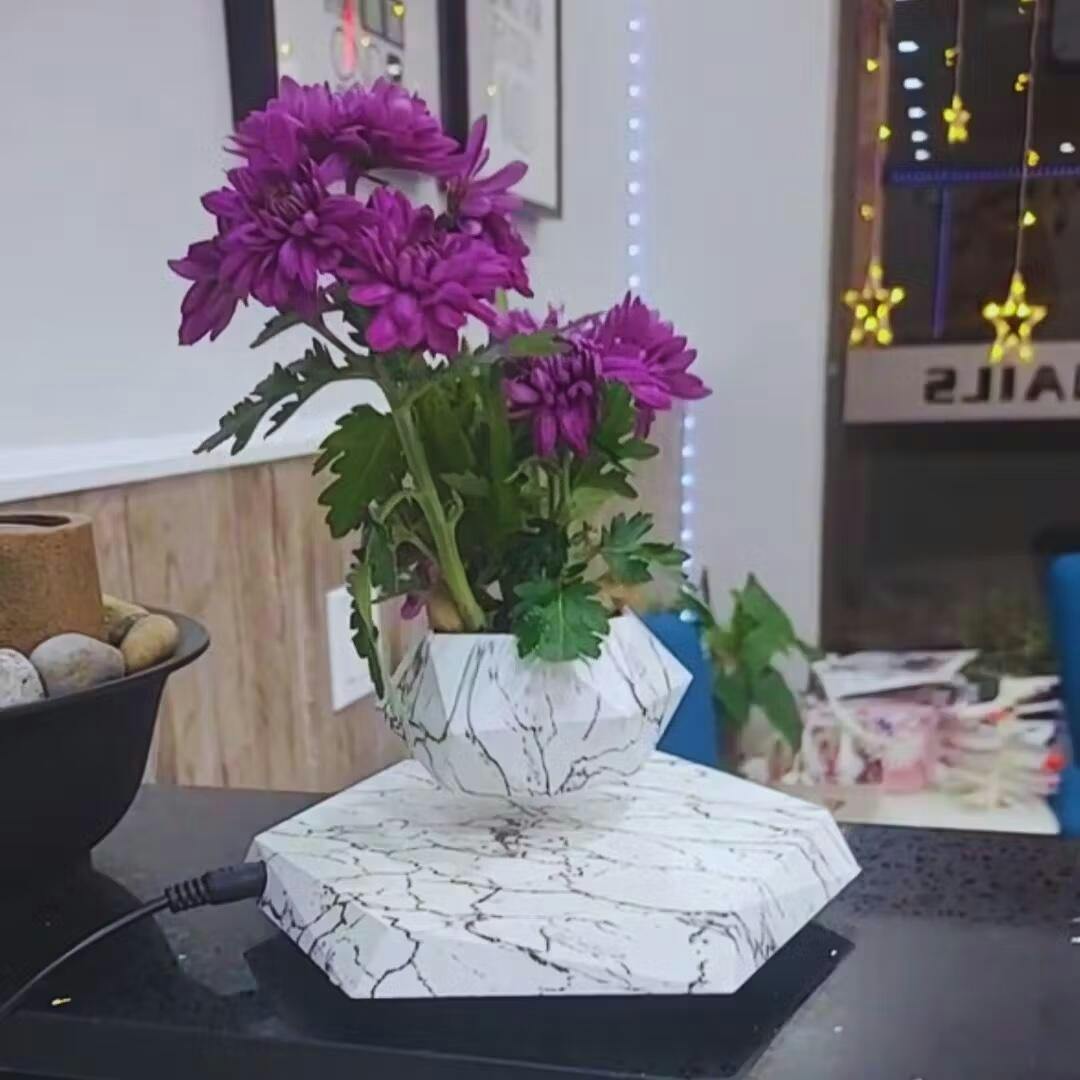 Floating Plant Holder with Magnetic Levitation - Liva-Walnut Base-State of Style
