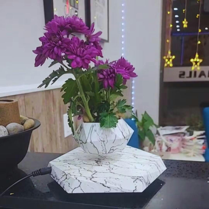 Floating Plant Holder with Magnetic Levitation - Liva-Walnut Base-State of Style
