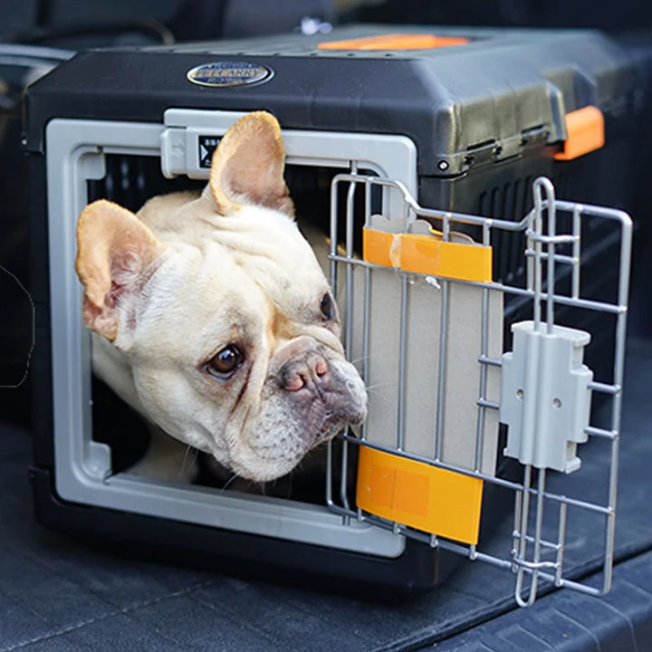 Foldable Travel Basket for Dogs and Cats - PetVoyager-Less than 12 kg-State of Style