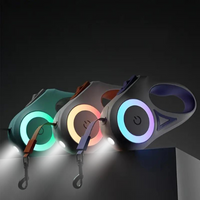 GlowGuard Illuminating Dog Leash with Flashlight-Orange-State of Style