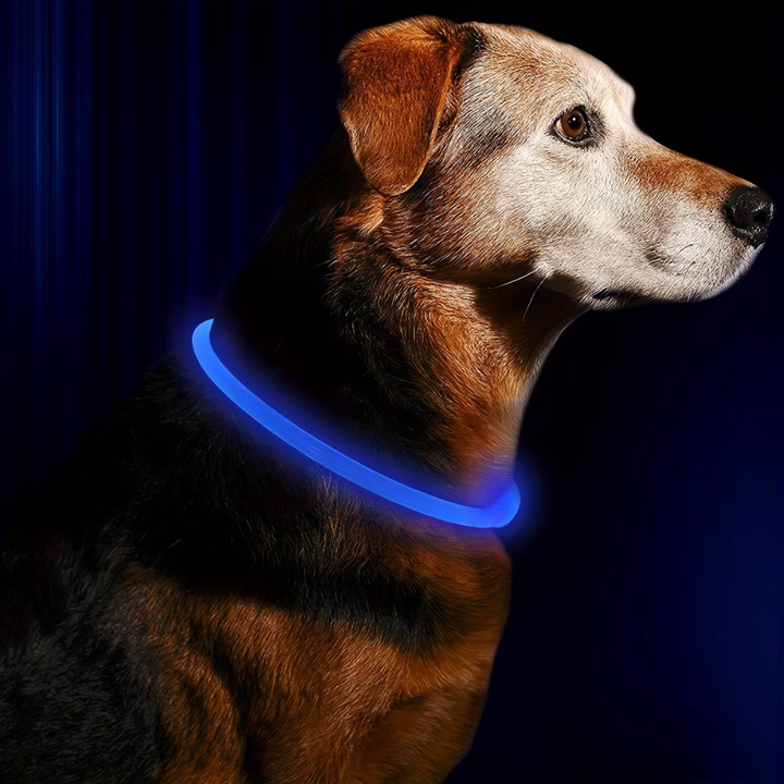 GlowSafe LED Dog Collar – Rechargeable USB Safety Light-Blue-State of Style
