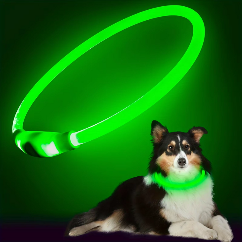 GlowSafe LED Dog Collar – Rechargeable USB Safety Light-Green-State of Style