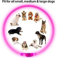 GlowSafe LED Dog Collar – Rechargeable USB Safety Light-Pink-State of Style