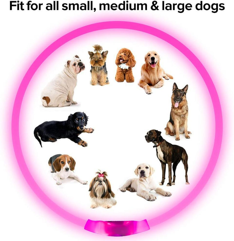 GlowSafe LED Dog Collar – Rechargeable USB Safety Light-Pink-State of Style