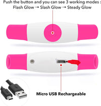 GlowSafe LED Dog Collar – Rechargeable USB Safety Light-Pink-State of Style