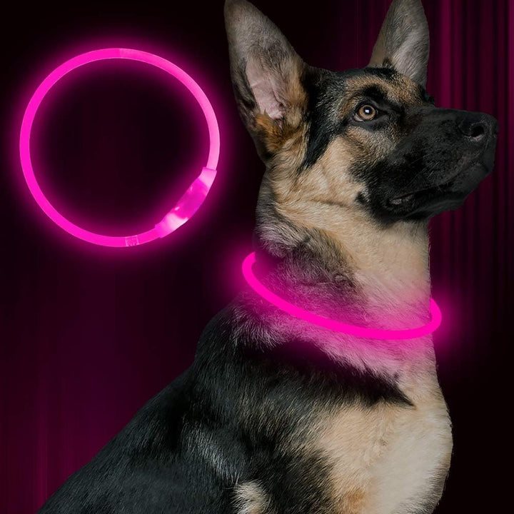 GlowSafe LED Dog Collar – Rechargeable USB Safety Light-Pink-State of Style