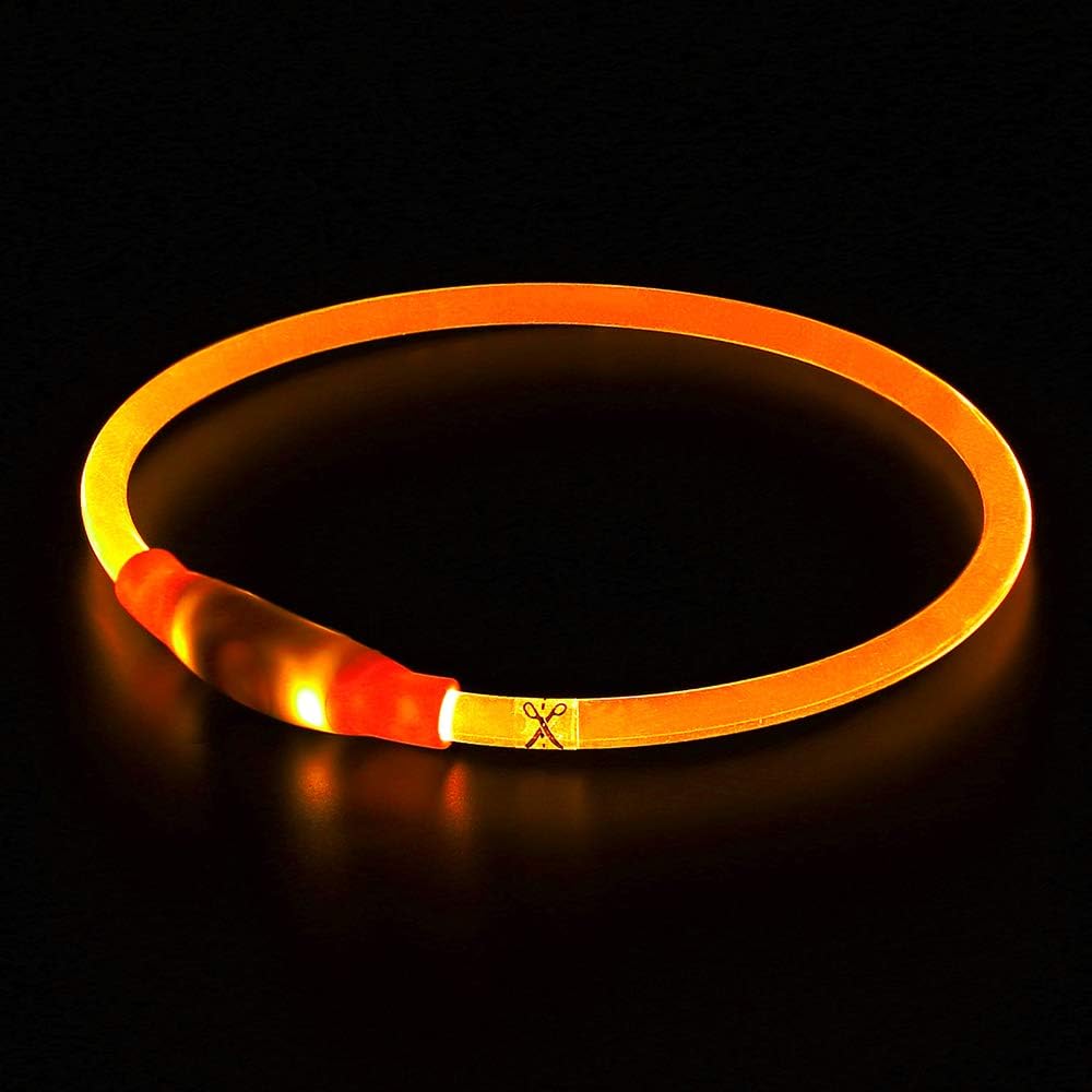 GlowSafe LED Dog Collar – Rechargeable USB Safety Light-Pink-State of Style
